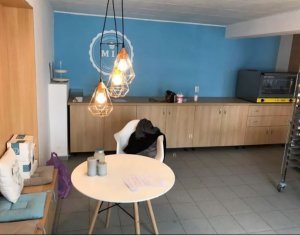 Espace Commercial à vendre dans Cluj-napoca, zone Gheorgheni