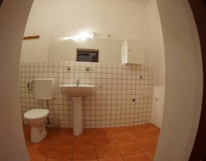 Maison 4 chambres à louer dans Cluj-napoca, zone Gheorgheni