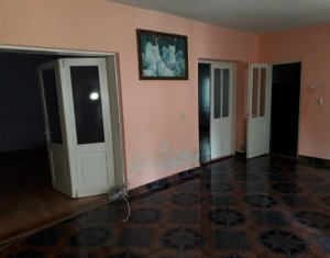 Maison 4 chambres à vendre dans Cluj-napoca, zone Centru