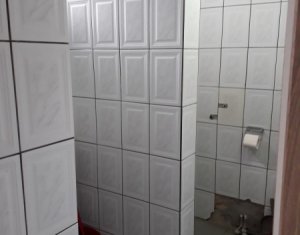 Maison 4 chambres à vendre dans Cluj-napoca, zone Centru
