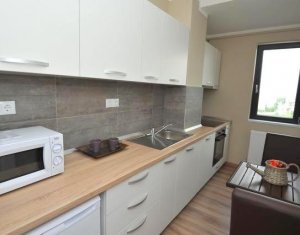 Appartement 1 chambres à louer dans Cluj-napoca, zone Gheorgheni