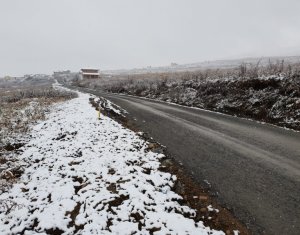 , 1000m2 on Cluj-napoca, Zóna Iris