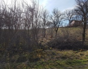 , 1700m2 on Cluj-napoca, Zóna Iris