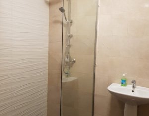 Appartement 2 chambres à louer dans Floresti