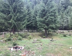 , 1415m2 dans Valea Ierii