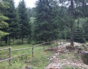 Terrain à vendre dans Valea Ierii