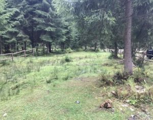 Terrain à vendre dans Valea Ierii