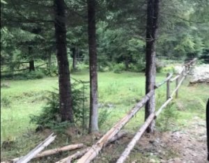 Terrain à vendre dans Valea Ierii
