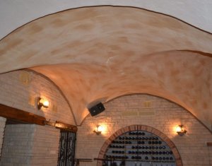 Espace Commercial à vendre dans Cluj-napoca, zone Centru