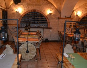 Espace Commercial à vendre dans Cluj-napoca, zone Centru