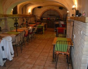Espace Commercial à vendre dans Cluj-napoca, zone Centru