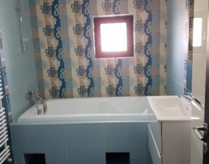 Maison 4 chambres à louer dans Cluj-napoca, zone Manastur