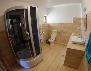 Maison 6 chambres à louer dans Cluj-napoca, zone Andrei Muresanu