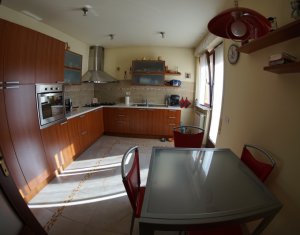Maison 6 chambres à vendre dans Cluj-napoca, zone Andrei Muresanu