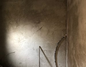 Maison 4 chambres à vendre dans Floresti