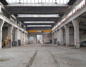 Ipari helyiség kiadó on Cluj-napoca, Zóna Baciu