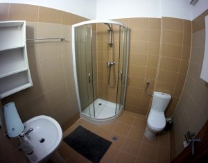 Appartement 3 chambres à louer dans Cluj-napoca, zone Plopilor