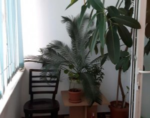 Appartement 2 chambres à louer dans Cluj-napoca, zone Centru