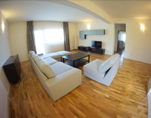 Appartement 4 chambres à louer dans Cluj-napoca, zone Andrei Muresanu
