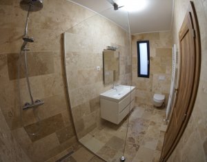 Maison 3 chambres à vendre dans Cluj-napoca, zone Gruia