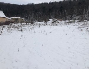 Terrain à vendre dans Floresti