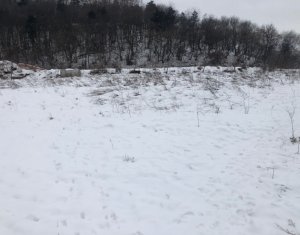 Terrain à vendre dans Floresti