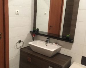 Appartement 2 chambres à louer dans Cluj-napoca, zone Andrei Muresanu