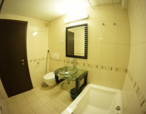 Appartement 2 chambres à louer dans Cluj-napoca, zone Plopilor