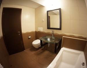 Appartement 2 chambres à louer dans Cluj-napoca, zone Plopilor
