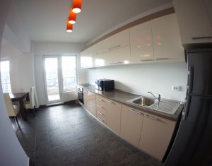 Appartement 2 chambres à louer dans Cluj-napoca, zone Plopilor