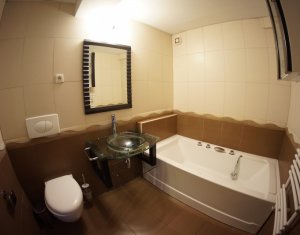 Appartement 2 chambres à louer dans Cluj-napoca, zone Plopilor