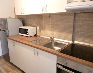 Appartement 1 chambres à louer dans Cluj-napoca, zone Centru