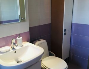 Appartement 2 chambres à louer dans Cluj-napoca, zone Andrei Muresanu