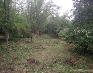 Terrain à vendre dans Cluj-napoca, zone Manastur