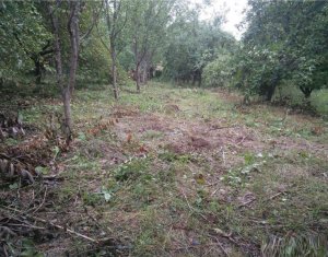 Terrain à vendre dans Cluj-napoca, zone Manastur
