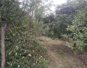 Terrain à vendre dans Cluj-napoca, zone Manastur