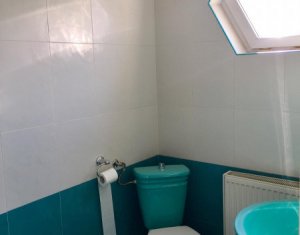 Maison 5 chambres à louer dans Cluj-napoca, zone Europa