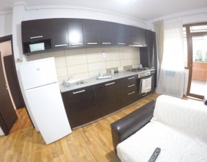 Appartement 1 chambres à louer dans Cluj-napoca, zone Buna Ziua