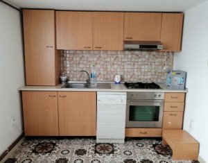 Appartement 1 chambres à louer dans Cluj-napoca, zone Dambul Rotund