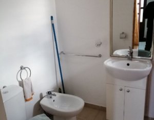 Appartement 1 chambres à louer dans Cluj-napoca, zone Dambul Rotund