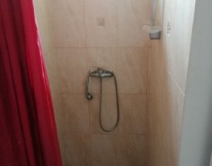 Appartement 1 chambres à louer dans Cluj-napoca, zone Dambul Rotund