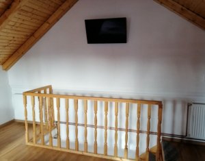 Appartement 1 chambres à louer dans Cluj-napoca, zone Dambul Rotund