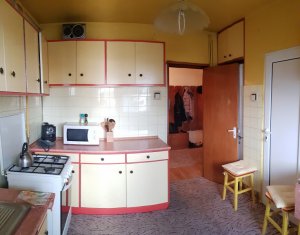 Appartement 4 chambres à louer dans Cluj-napoca, zone Andrei Muresanu