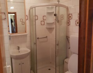 Appartement 4 chambres à louer dans Cluj-napoca, zone Andrei Muresanu