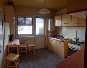 Appartement 4 chambres à louer dans Cluj-napoca, zone Andrei Muresanu
