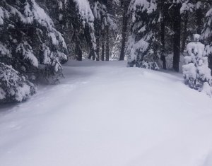 Terrain à vendre dans Belis