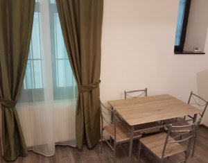 Studio à louer dans Cluj-napoca, zone Centru