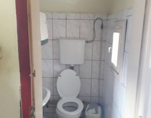Espace Commercial à louer dans Cluj-napoca, zone Dambul Rotund