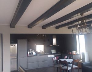 Maison 4 chambres à vendre dans Cluj-napoca, zone Iris