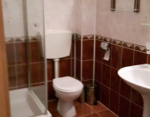 Appartement 3 chambres à louer dans Cluj-napoca, zone Andrei Muresanu